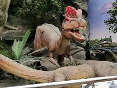 -国家自然博物馆