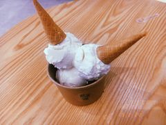 -歎雪糕低糖低脂Gelato冰淇淋