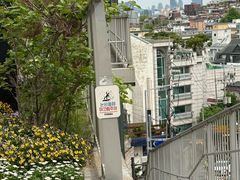 -新世界百货(明洞总店)