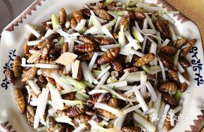 Stir-fried Silkworm Pupae with Leek Greens
