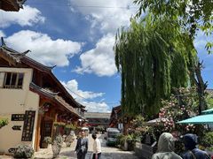-正宗李家土鸡米线店