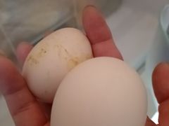 -十二道丰味·徐州土菜·烧烤(何山路店)
