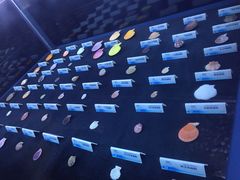 iphone_upload_pic-贝壳梦幻世界