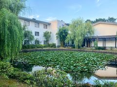 -木子山庄·安徽省老字号·中国炖锅宴