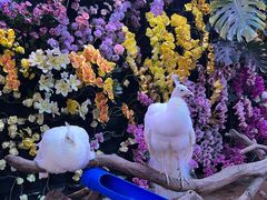 -正佳雨林生态植物园