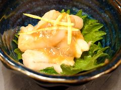 -九州酒场ひこぞう(2号店)