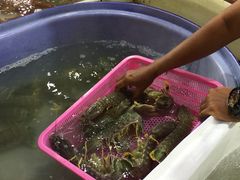 -拉威海鲜市场