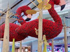 -凯德广场(学府店)