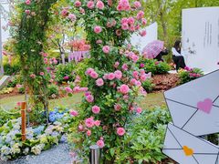 -武汉园博园(武汉自然博物馆)