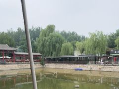 -尚庄度假村·庭台树下·户外烧烤·团建CS·轰趴营地(上庄水库店)