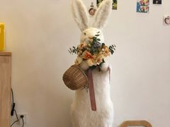 -猫腻·猫咖·撸猫馆(星光大道店)