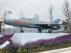 -成飞公园