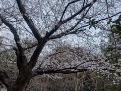 -赭山公园