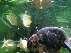 -青木造型HAIR·あおき髪を刈る潮人店