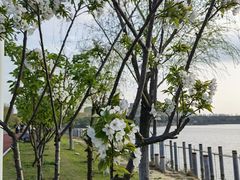 -艾溪湖湿地公园