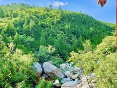 -禅宗少林·音乐大典