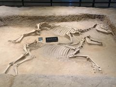 -洛阳周王城天子驾六博物馆