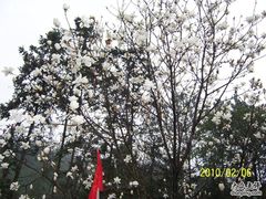 -广州市流溪河国家森林公园
