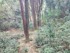 -广州市白云山风景名胜区