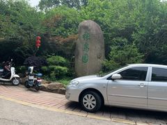 -张鸟园农家乐(张鸟园店)