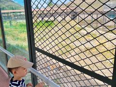 -新疆天山野生动物园