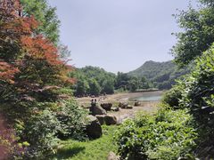 -桃花岭景区