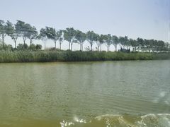 -南大港湿地风景区