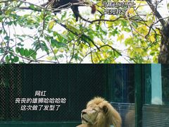 -广州动物园