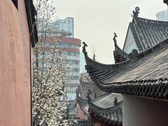 -长春观