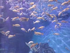 -泉城欧乐堡海洋极地世界