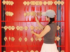 -合景·悠方(成都店)