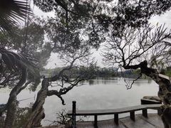 -东山湖公园