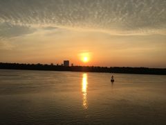 -紫荆广场·花漫里