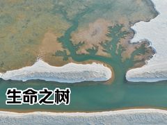 -东台吉乃尔湖