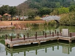 -王借岗森林公园