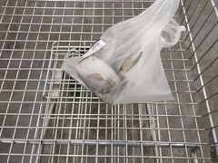 -麦德龙(闵行店)