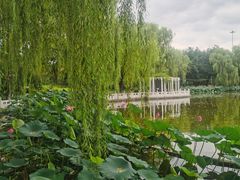 -丰台花园