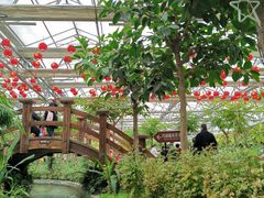 -南宫五洲植物乐园