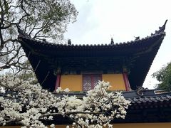 -普陀山风景名胜区-法雨禅寺