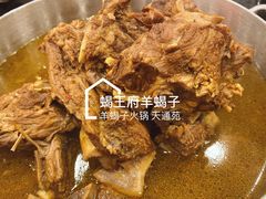 精品羊蝎子火锅-蝎王府羊蝎子(天通苑店)