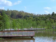-东莞植物园