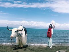 -青海湖国家重点风景名胜区