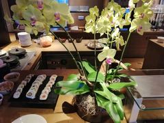 -上海外滩茂悦大酒店