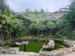 -燊海井