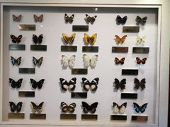 -上海昆虫博物馆