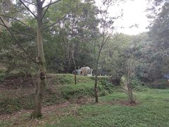 -木兰云雾山