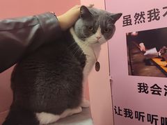 -神盾局密室逃脱(in77店)