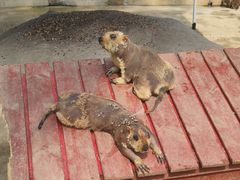 -南戴河国际娱乐中心