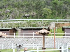 -玉苍山国家森林公园