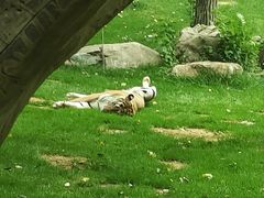 -北京野生动物园